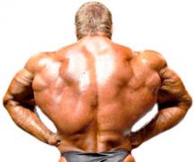 Упражнения для увеличения ширины плеч для мужчин и женщин Качание плеч